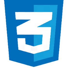 css 1